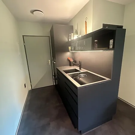 With Matterhorn View 아파트 체르마트